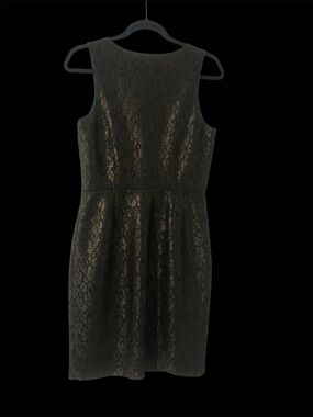 Banana Republic Black Lace Sleeveless Fit-and-Flare Dress